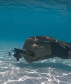 Lung-Mask Diving Tank